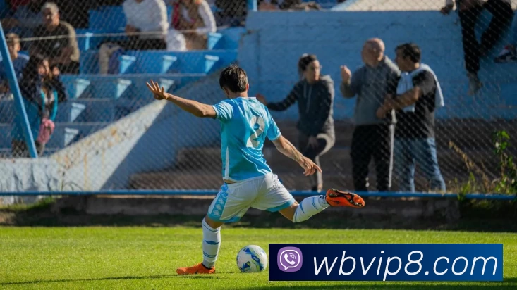 威博娱乐城官网平台生态图